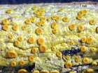Caloplaca flavorubescens (Huds.) J. R. Laundon